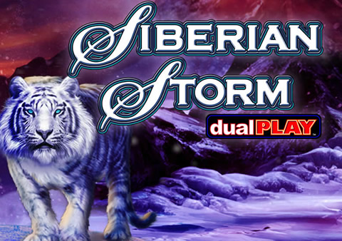 play siberian storm pokie