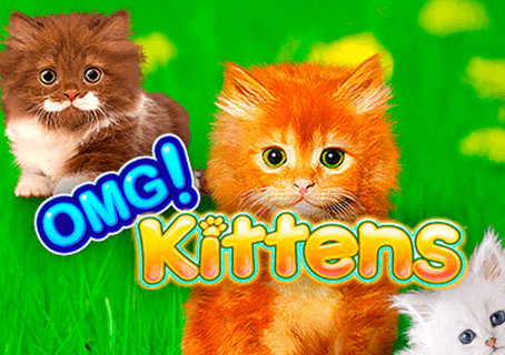 play omg kittens