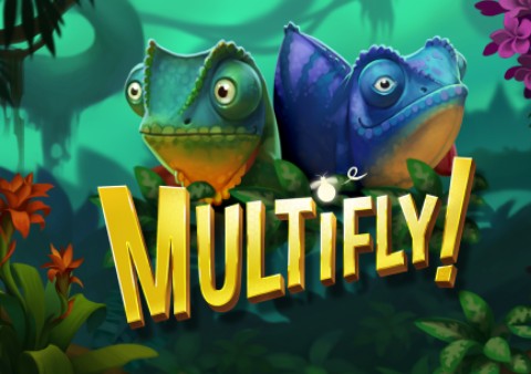 Multifly