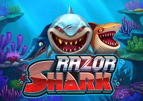 Razor Shark (Push Gaming) Slot Review - 💎AboutSlots